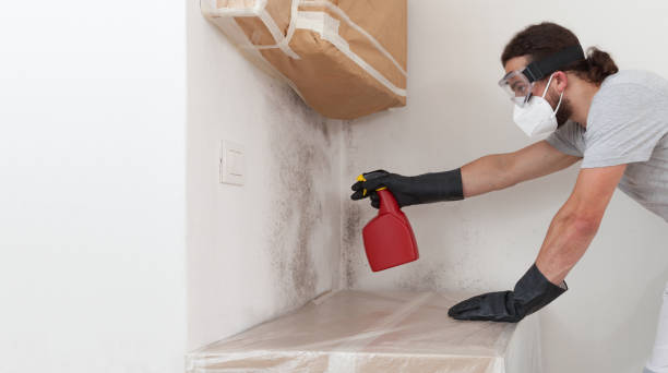 Professional Crawl Space Mold Remediation technician working in Jamestown, NC