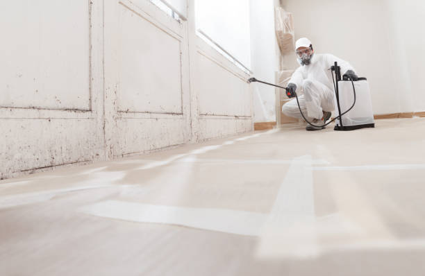 24/7 Emergency Crawl Space Mold Remediation experts in Jamestown, NC