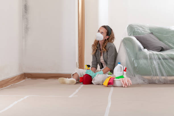 Reliable Crawl Space Mold Remediation contractor in Jamestown, NC by Car Mold Remediation