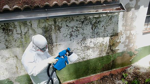 Top rated local Crawl Space Mold Remediation specialists in Jamestown, NC
